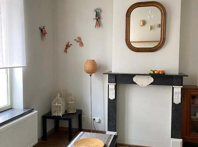 度假居 1,2,trois...le Roi 根特