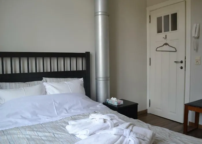 度假居 1,2,trois...le Roi