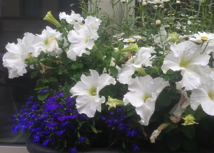 1,2,trois...le Roi Vakantiehuis